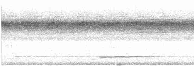 Çalı Tinamusu [cinnamomeus grubu] - ML615027118