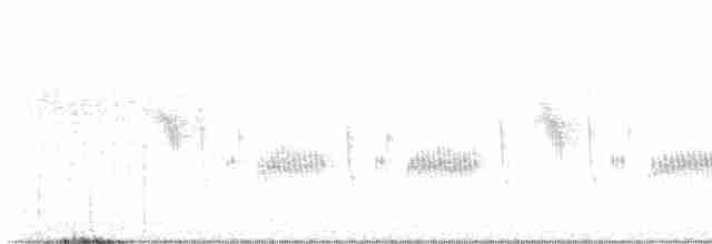 Grauflankenmeise - ML615028223