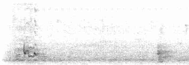 Тирч плямистоволий - ML615029498