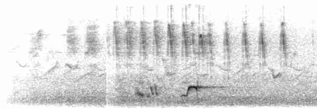 Тирч плямистоволий - ML615029593