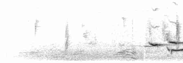 Spotted Morning-Thrush - ML615029820