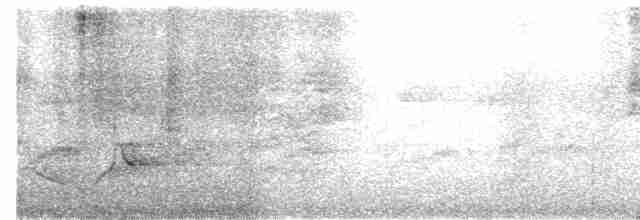 Чагарниця іржастоголова - ML615029911