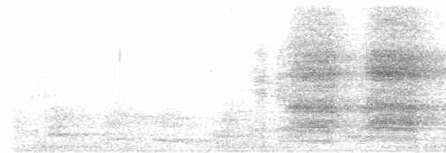 White-bellied Treepie - ML615033771