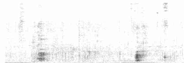 svarthodefluesnapper - ML615033963