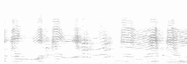 buřňák šedý (ssp. borealis) - ML615034169