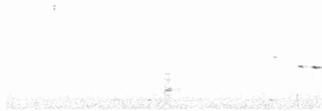 srpatka ibisovitá - ML615034618