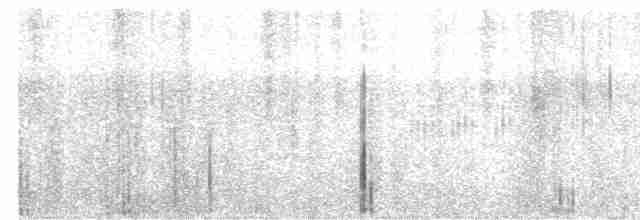 Горихвістка рудоспинна - ML615035663