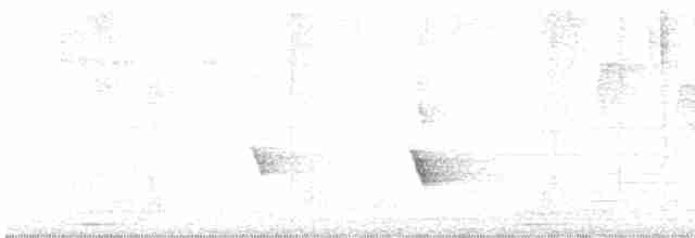 Медовка жовтокрила - ML615038441