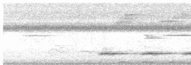Andaman Kestane Yelvesi - ML615039522