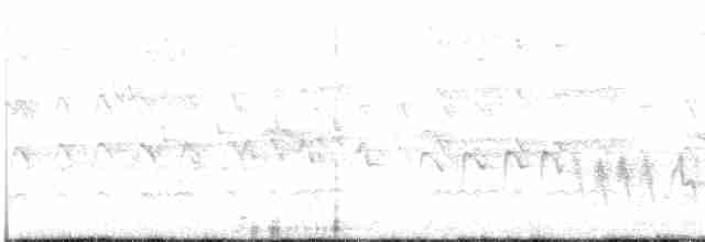 Turmfalke (canariensis/dacotiae) - ML615041439