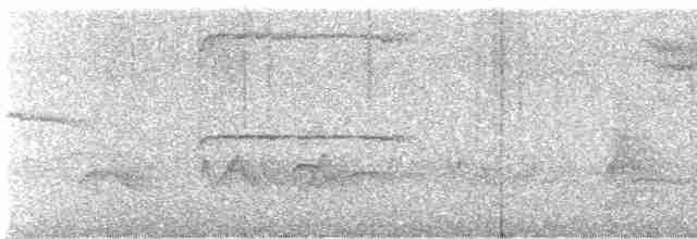 Патагонский мухолов - ML615042448