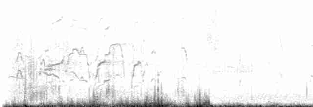Kara Karınlı Islıkçı Ördek - ML615042595