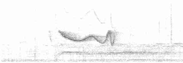 grønnelenia (viridicata gr.) - ML615043572