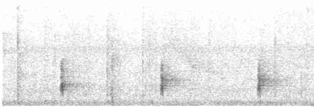 Ak Karınlı Çıtkuşu [leucogastra grubu] - ML615043678