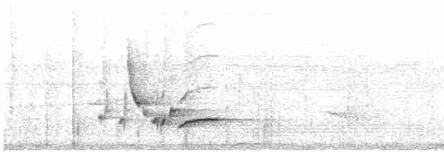 Ak Karınlı Çıtkuşu [leucogastra grubu] - ML615043709