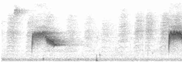Каролинский крапивник (albinucha/subfulvus) - ML615043746