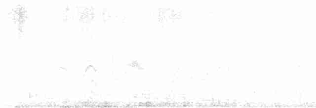 Yellow-eyed Babbler - ML615043911