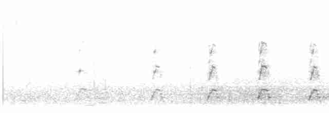 Kara Boyunlu Kuğu - ML615044182