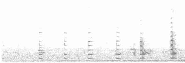 Белокрылая лысуха - ML615044193