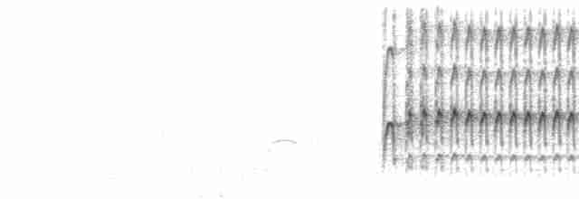 Пестроголовый дятел - ML615045184
