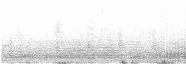 Magellanic Penguin - ML615046212