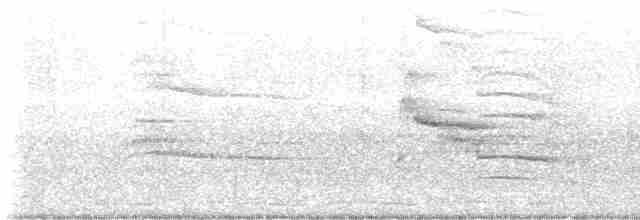 Indian Gray Hornbill - ML615046569