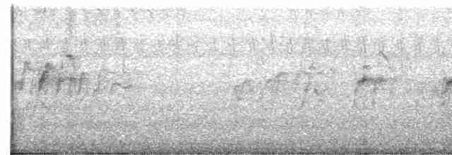 Cava Islıkçı Ördeği - ML615049094
