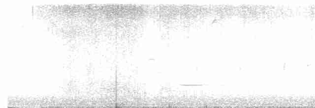 Шишкар ялиновий - ML615049236
