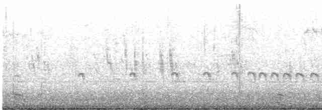 Chaparralgrasmücke - ML615055599