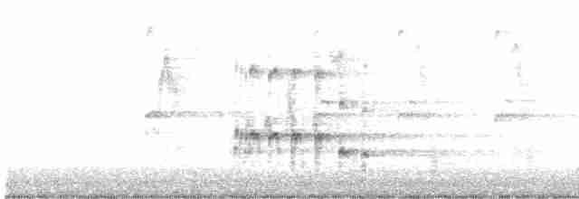 orel bělohlavý - ML615059243