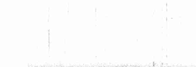 Steller Kargası [stelleri grubu] - ML615065936