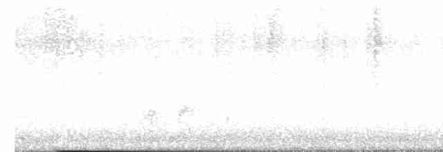 Karolina Çıtkuşu - ML615067327