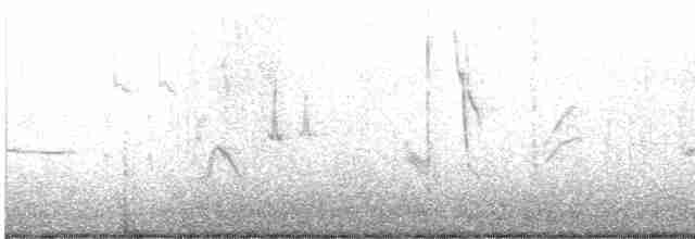 Kara Kuyruklu Bitkuşu - ML615069087