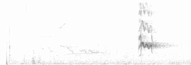 Челноклювый бентеви - ML615070752