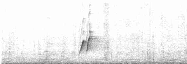 Curve-billed Thrasher - ML615071670