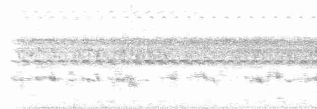 Pauraquenachtschwalbe - ML615075626
