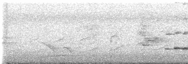 ホオアオサメクサインコ - ML615077347