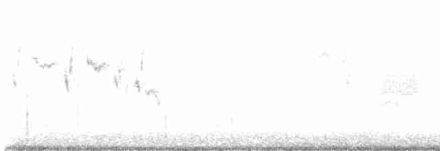Kaya Çıtkuşu [obsoletus grubu] - ML615077464