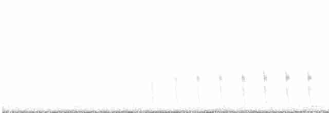 Сичик-горобець магеланський - ML615080087