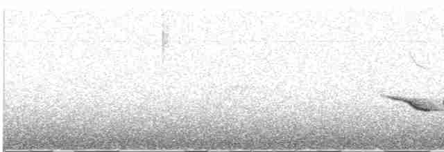 Speckle-breasted Wren - ML615081394