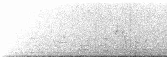 prærielerketrupial - ML615086018