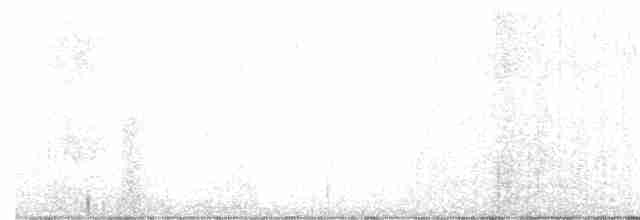 Weißbrustkleiber - ML615086754