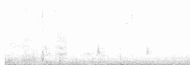 Дрізд-короткодзьоб плямистоволий - ML615086842
