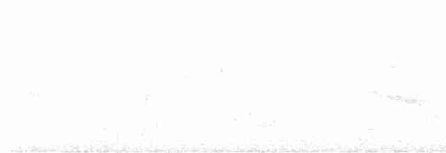 Белошейная веерохвостка - ML615087037