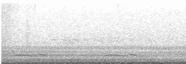 Winternachtschwalbe - ML615089398