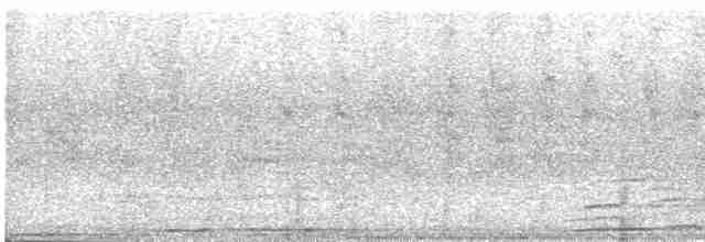 セスジツバメ - ML615091802