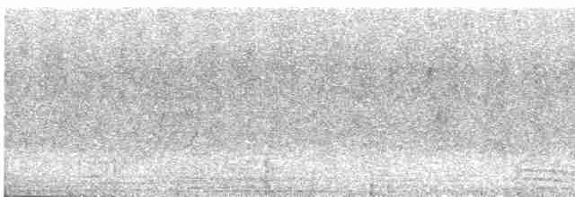 セスジツバメ - ML615091803