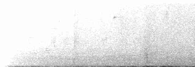 fuglekonge (himalayensis gr.) - ML615093332