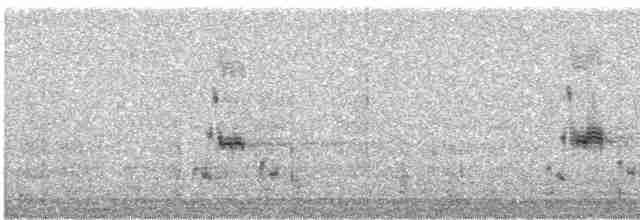Loggerhead Shrike - ML615093440