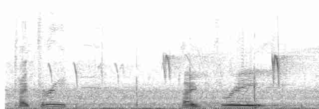 "Шишкар ялиновий (Western Hemlock, або тип 3)" - ML615095210